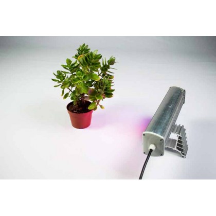 Светодиодный фито светильник тепличный NT- GREEN ЛУЧ 12